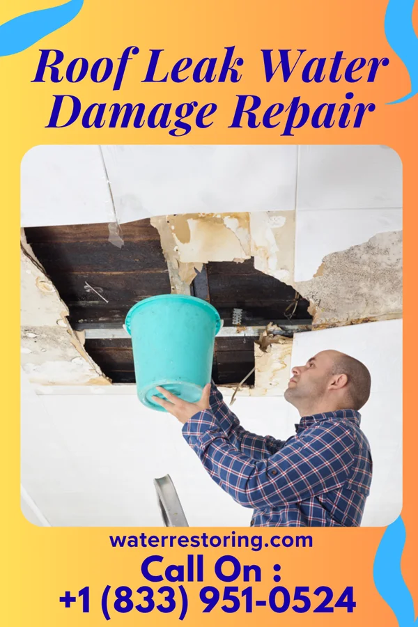Roof Leak Water Damage Repair in Lyman, WY